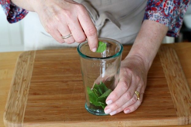 Le foglie di menta