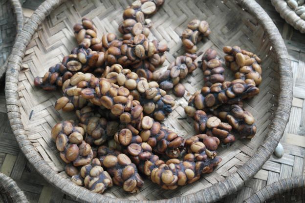 Caffé Kopi Luwak - Indonesia