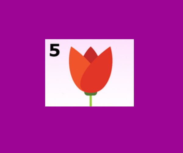 5. Tulipano