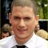 10. Wentworth Miller