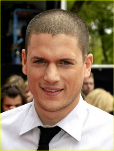 10. Wentworth Miller