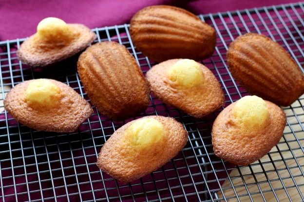 Madeleines