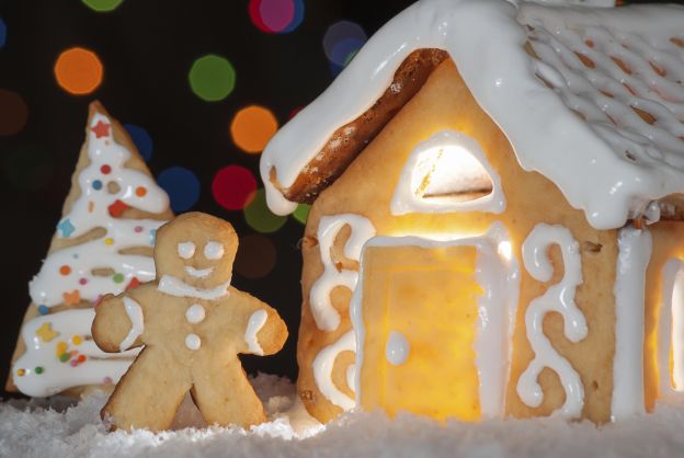 Biscotti allo zenzero per diabetici