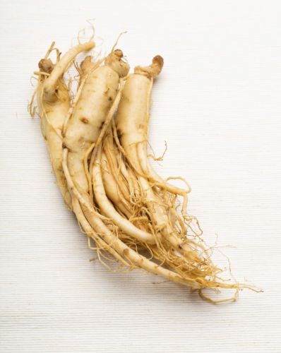 Il ginseng