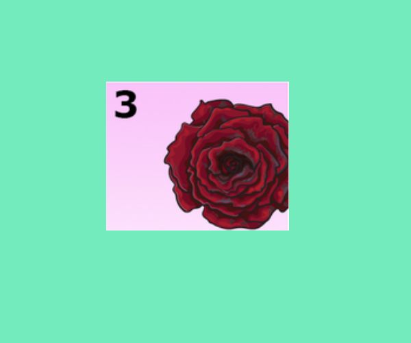 3. Rosa