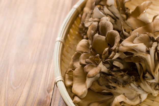 Maitake