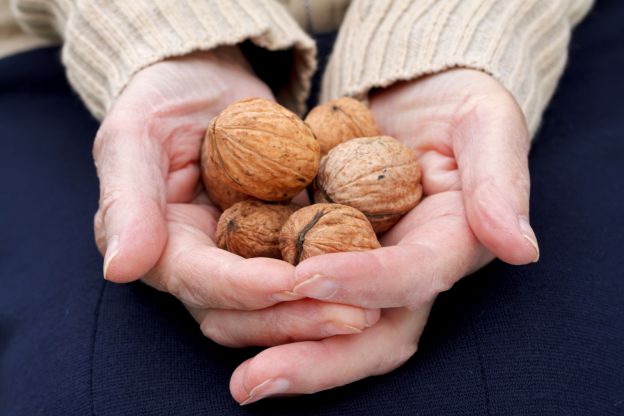 Alimenti che fanno bene - 3. Legumi e noci