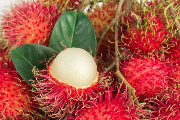 <span class=VIiyi lang=it>Rambutan - Thailandia</span>