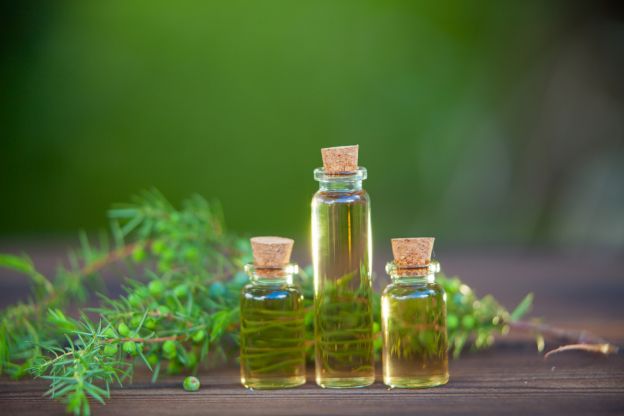 il tea tree oil