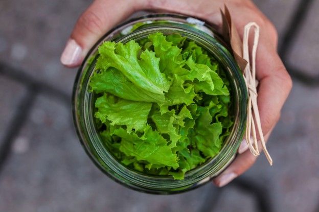 Foglie d'insalata