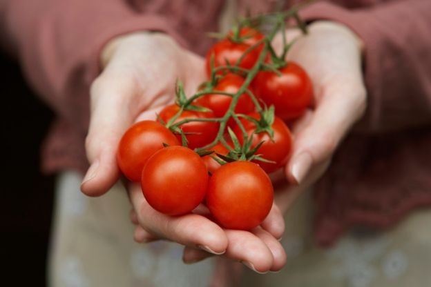 Pomodori