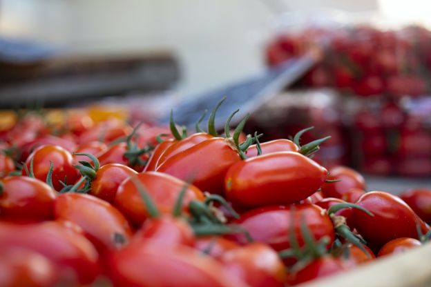 Campania - Antico pomodoro di Napoli