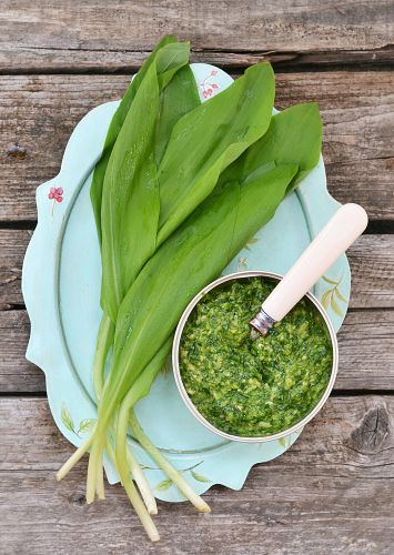 Pesto all'aglio orsino