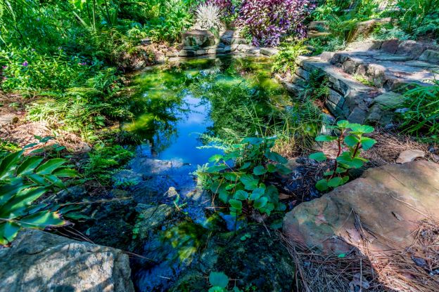 il giardino botanico