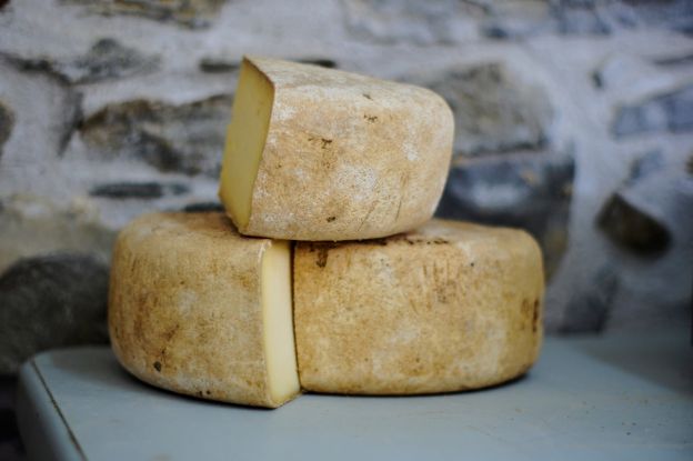 Formaggio d'alce