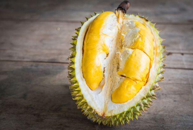 Durian fruit