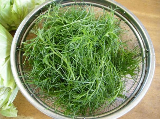 Agretti