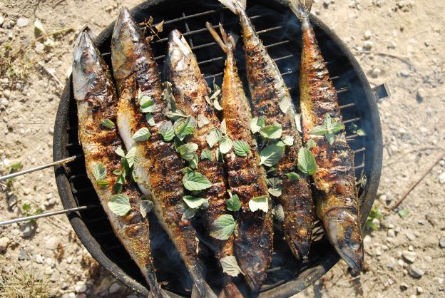 Dorado a la parrilla