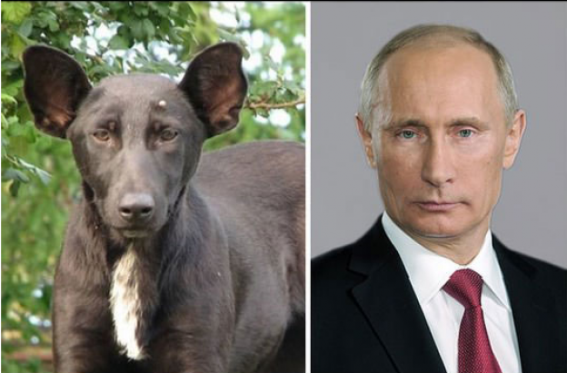 4. Putin