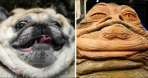 11. Jabba The Hut