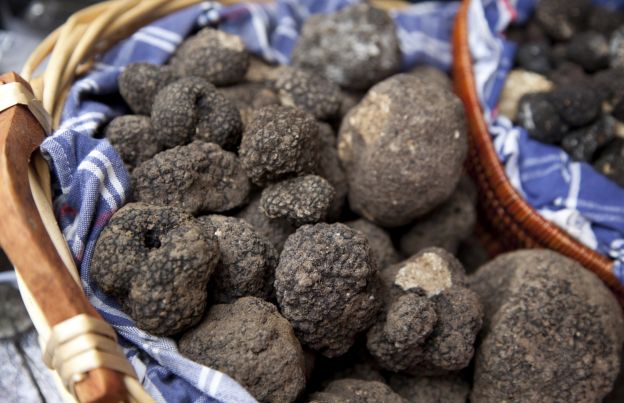 Tartufo nero