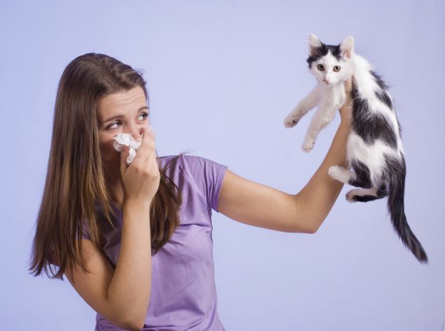 « Non ti manca la compagnia di qualcuno a casa ? Prenditi un gatto ! »