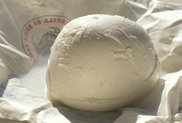 Solo mozzarella di Bufala DOP